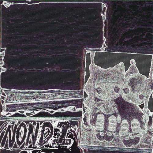 Nondi...