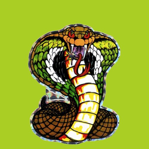 Live At Nate’s Snake Pit