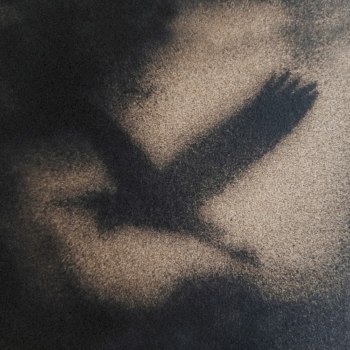 Musique pour Ombres Mécaniques