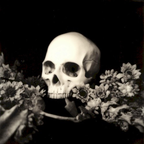 Superstition Plagues the Purity of All