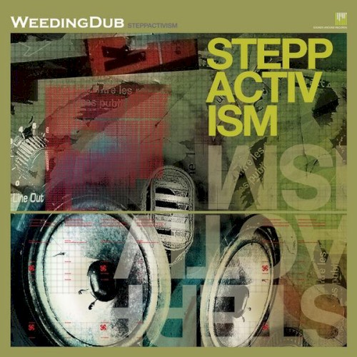 Steppactivism
