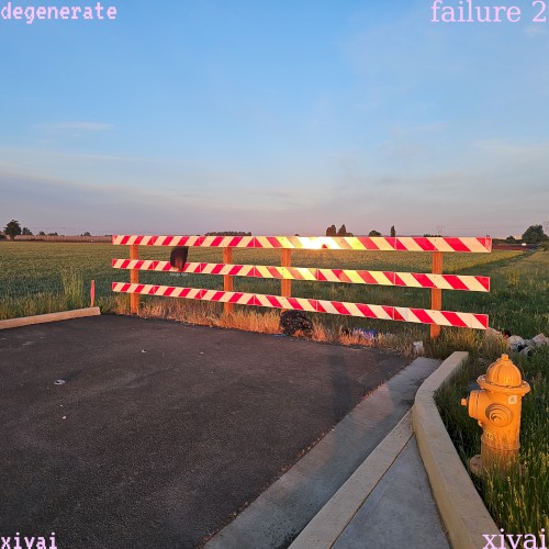 degenerate // failure 2