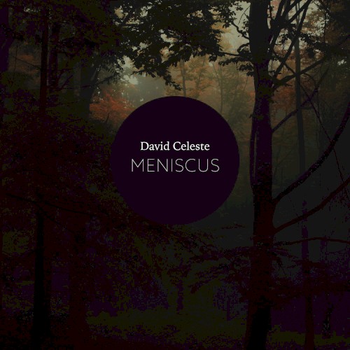 Meniscus