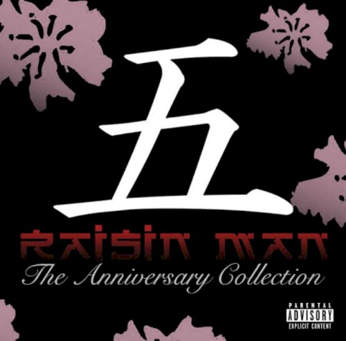 RAI5IN MAN: The Anniversary Collection // Bandcamp Set