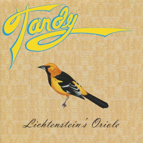 Lichtenstein's Oriole