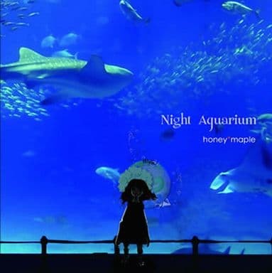 Night Aquarium