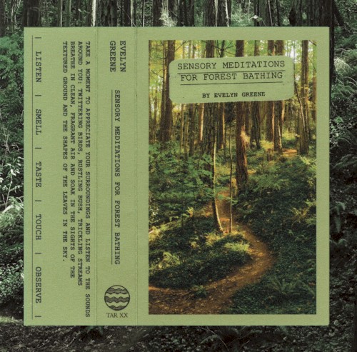 Sensory Meditations for Forest Bathing