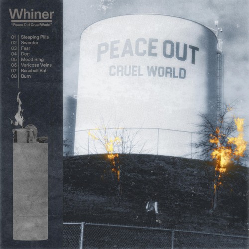 Peace Out Cruel World