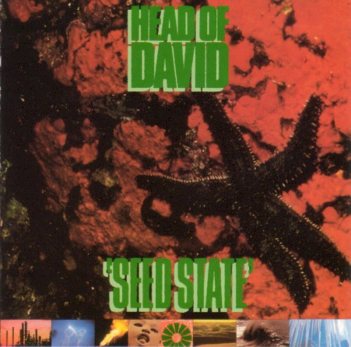 Seed State