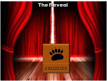 The Reveal