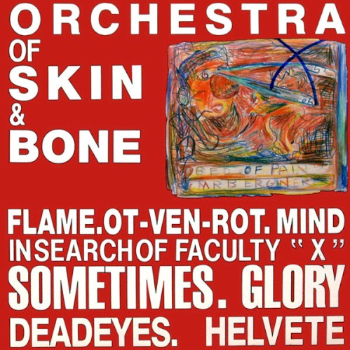 Orchestra Of Skin & Bone