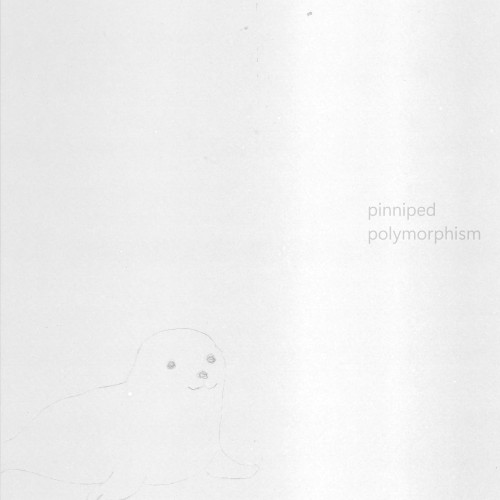 polymorphism