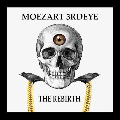THE REBIRTH