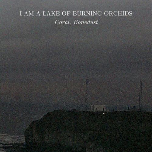 Coral, Bonedust