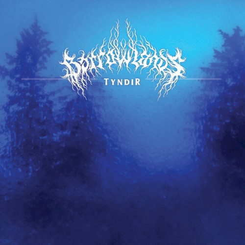 Tyndir