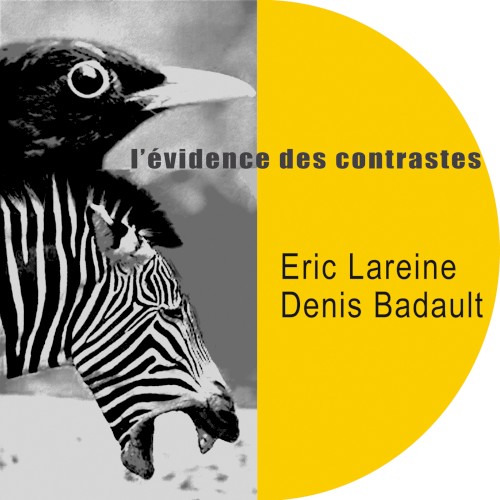 L'Évidence des contrastes
