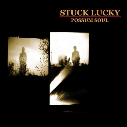 Possum Soul