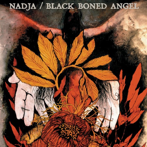 Nadja / Black Boned Angel