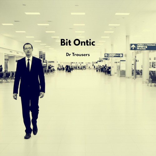 Bit Ontic