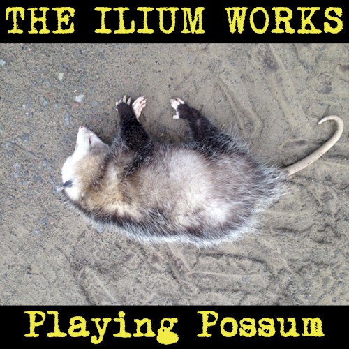 Playing Possum
