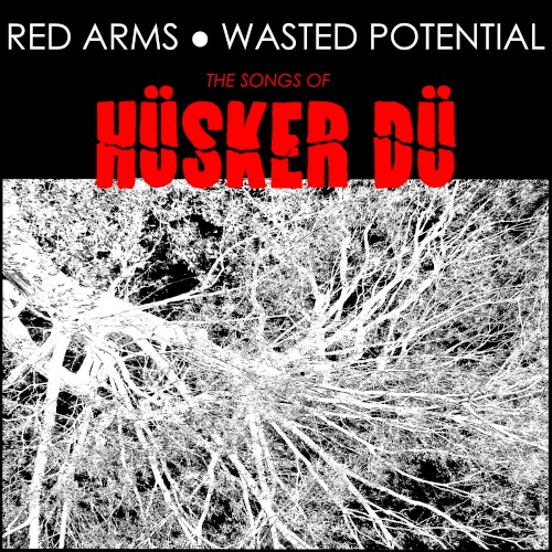 The Songs of Hüsker Dü