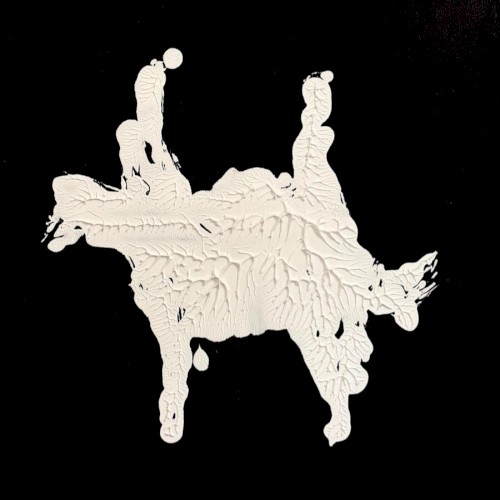wild horses