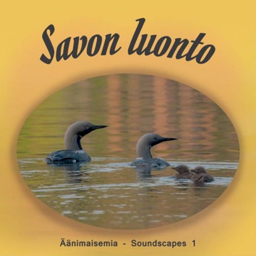 Nature of Savo - Soundscapes 1