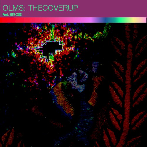 The Cover-Up