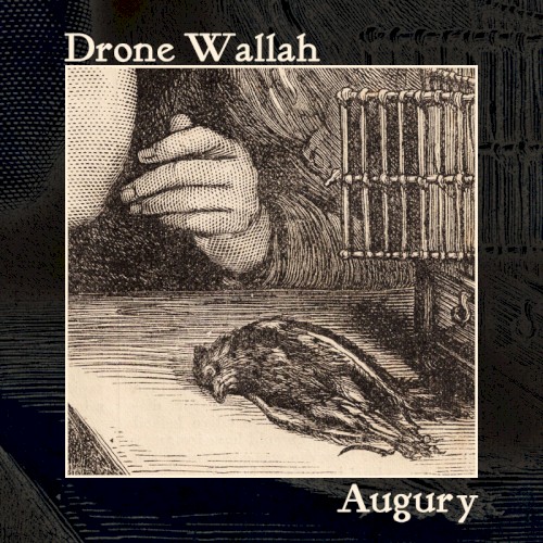 Augury