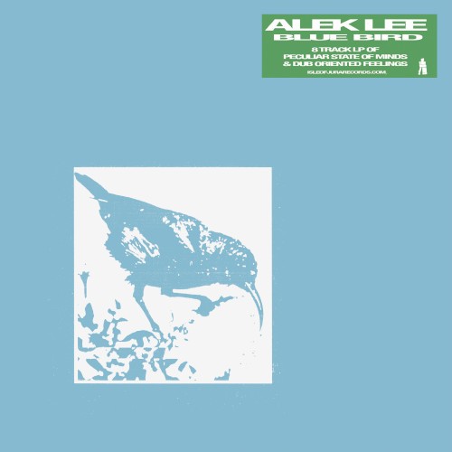 Blue Bird