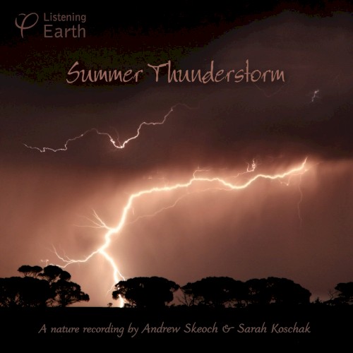 Summer Thunderstorm