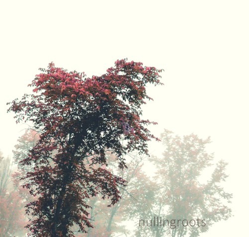 nullingroots