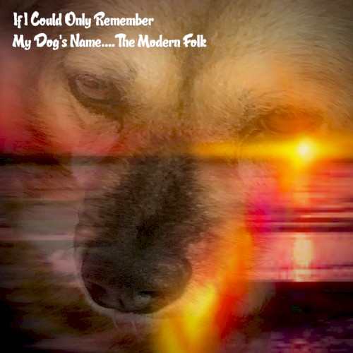 if i could only remember my dog's name