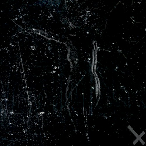 Alone/Apart