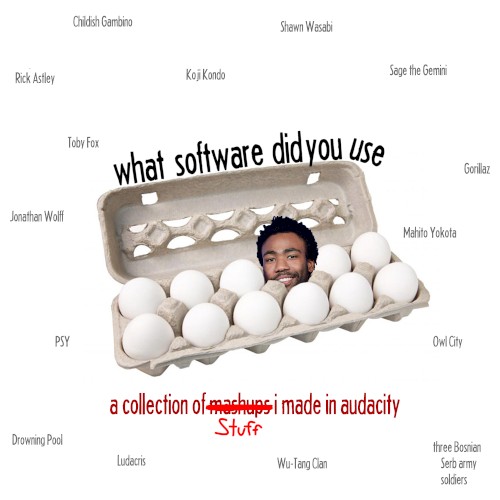 what software did you use