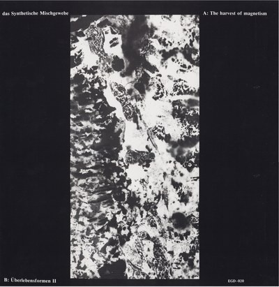 The Harvest of Magnetism