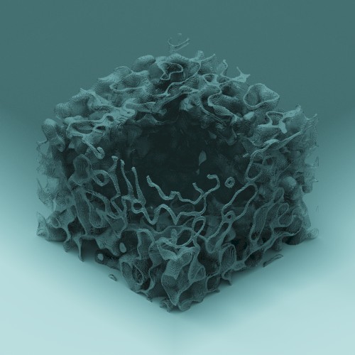 neurodiverging