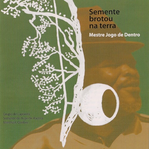 Semente Brotou Na Terra