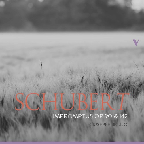 Impromptus Op. 90 & 142