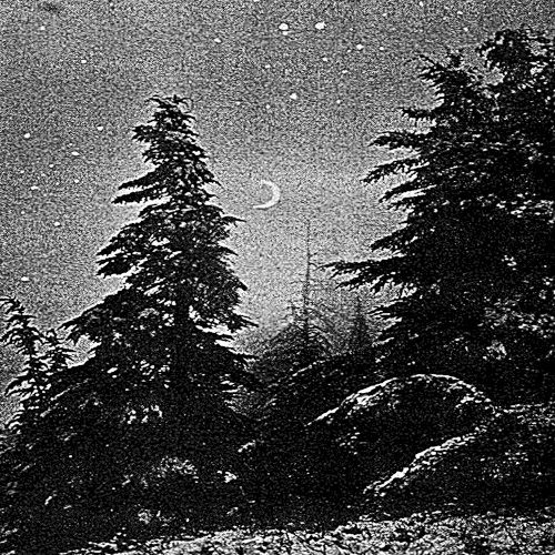 Wintermagie