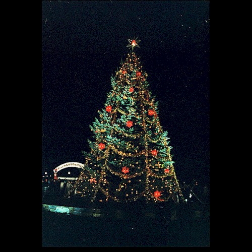 Xmas