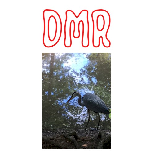 DMR