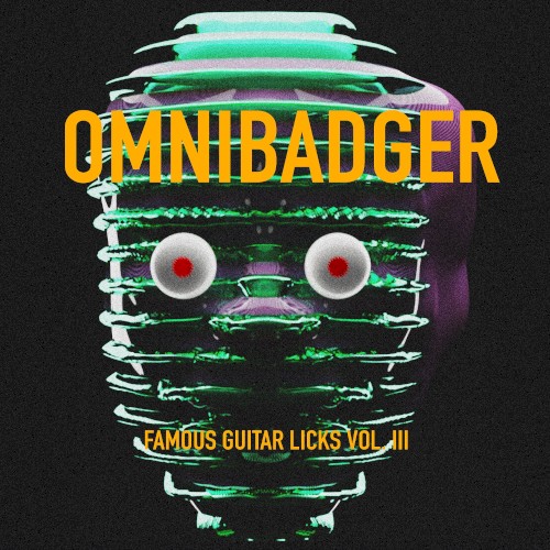 Famous Guitar Licks Vol. III