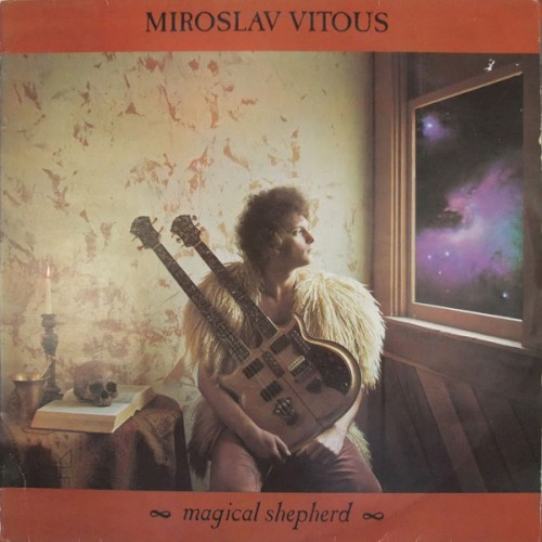 Magical Shepherd