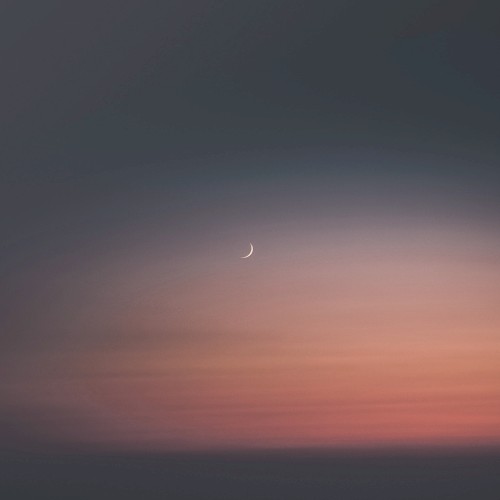 Noise of Scarlet Nights