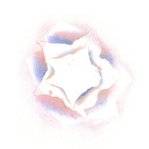 Slow Rose