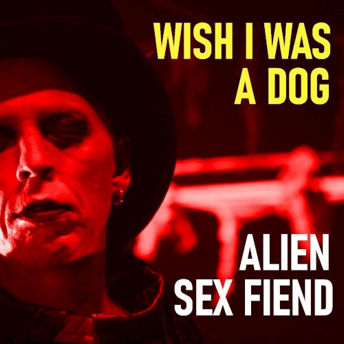 Wish I Was a Dog