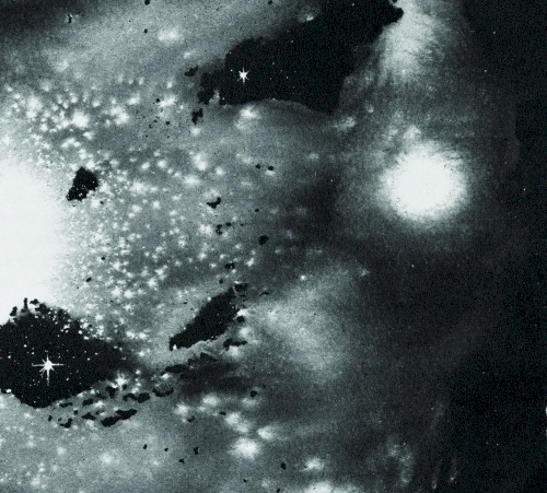 Cosmos in the Chaos