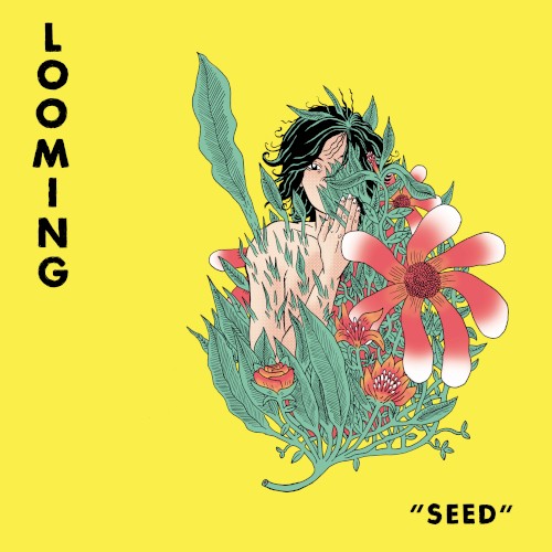 Seed