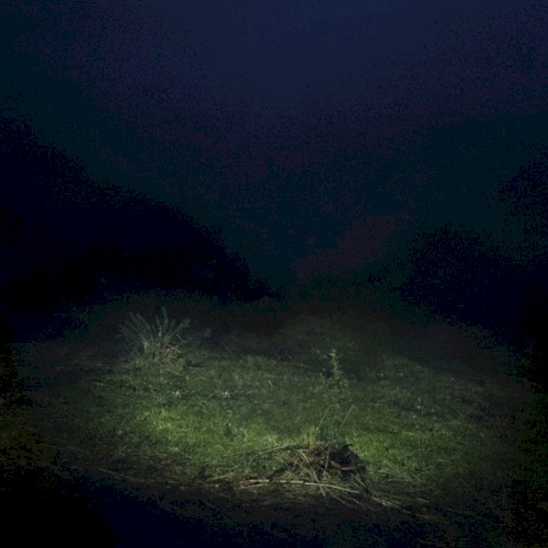 PO2054AZ (Vol. II)
